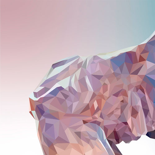 Detail of the low poly